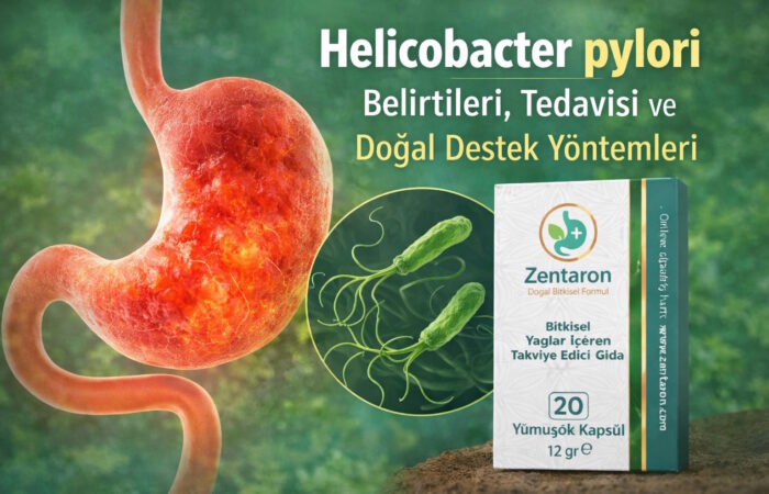 Helicobacter pylori Nedir? Belirtileri, Tedavisi ve Doğal Destek Yöntemleri