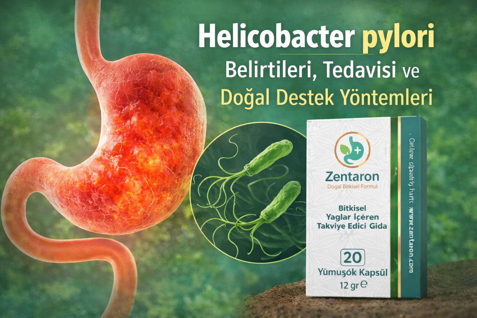 Helicobacter pylori Nedir? Belirtileri, Tedavisi ve Doğal Destek Yöntemleri